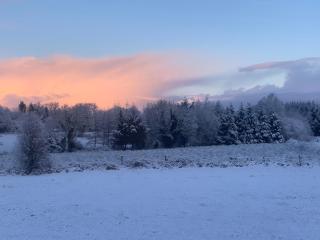 Whitethorn Shepherds Hut - 9