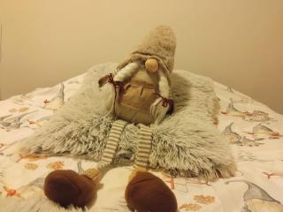 Tervolahovi Lappland - 7