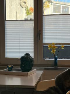 Moderne Unterkunft mit Wellnessflair - 6