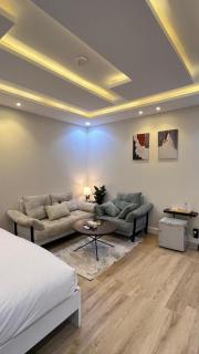 استيديو الحمراء بدخول ذاتي - 8