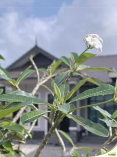 Homestay Ummi Bukit Payong - 7