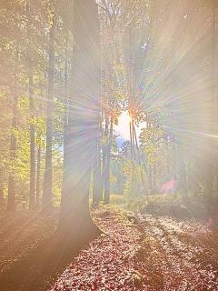 Zauberhafte Ferienwohnung in Idyllischer Lage - 5
