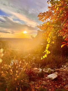 Zauberhafte Ferienwohnung in Idyllischer Lage - 4