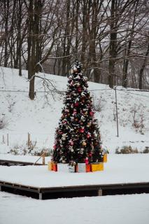 Характер парк - 5