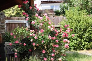 Penzion Pod Třebouňákem - 5