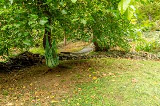 Elena's Apartment in Therma Samothrace - 6