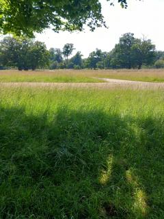 Sol over Lumsås - 3