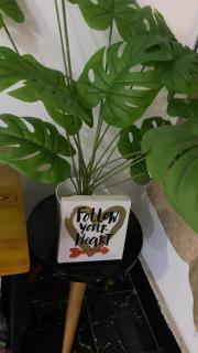 Paradise Mlimani City - 1