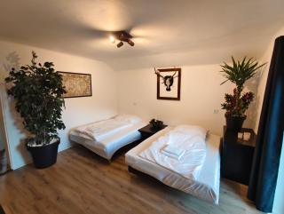 Das Bergnest Maishofen - 7