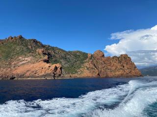 Petit cocon près des Calanques de Piana - 7