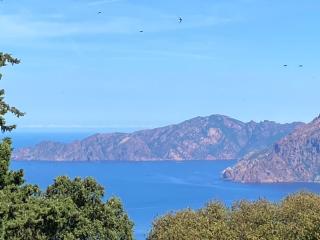 Petit cocon près des Calanques de Piana - 1