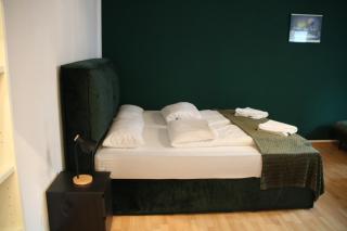 Friesen apartment - 2