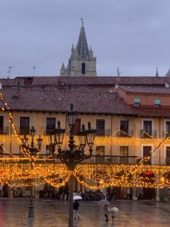 Arquitecto de la Vida - Plaza Mayor - León - 6