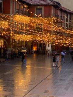 Arquitecto de la Vida - Plaza Mayor - León - 7