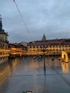 Arquitecto de la Vida - Plaza Mayor - León - 5