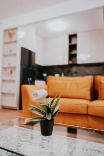 Zen Hideaway Near Mall Moldova and Center - 0