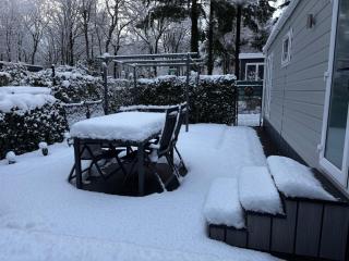 Het Veluwse Boshuisje Hond welkom in Hoenderloo - 9