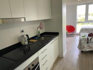 Studio Pet Friendly en Isla Teja, Valdivia - 9