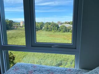 Studio Pet Friendly en Isla Teja, Valdivia - 3