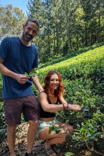 Green Wood Hotel - 9