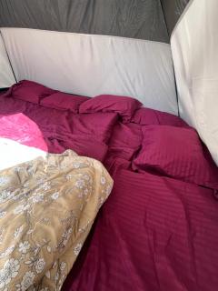 Dragster Homes Alwaye - 1