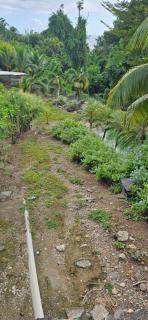 DREAMS PARADISE Studios et suite - 9