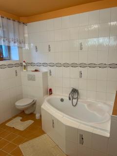 House with mountain views and garden by the stream - 1