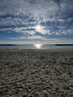 T2 au cœur de la Marina - Sète - 6