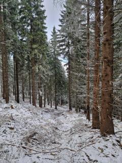 Biała Perła Residence Czarna Góra - 3