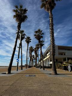 T2 au cœur de la Marina - Sète - 8