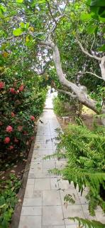 Pousada 48 Graus - 0