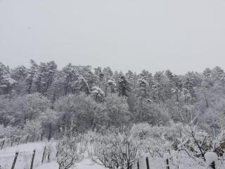 La Ţară Casa Angelica - 1