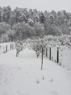 La Ţară Casa Angelica - 2
