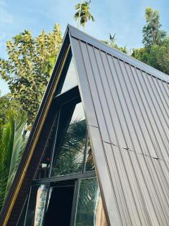 Moon Light , Ella - 0