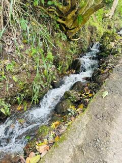 Moon Light , Ella - 9