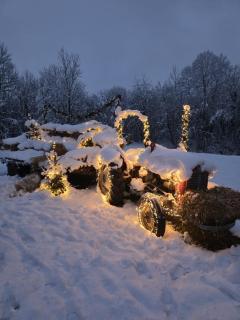 Deluxe Apartments Franjkovic - 6