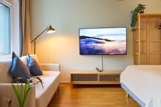 Großzügiges Studio-Apartment - 9