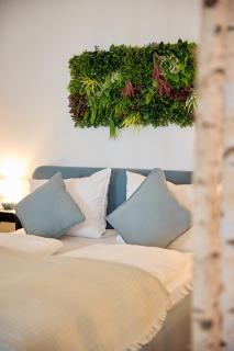 Großzügiges Studio-Apartment - 5