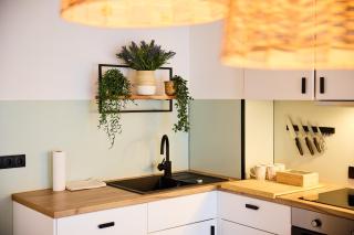 Großzügiges Studio-Apartment - 3