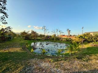 Misty Garden Homestay Retreat - 4