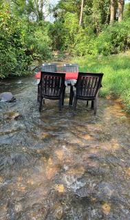 Nature stream homestay - 6