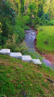 Nature stream homestay - 1