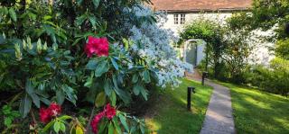 Ashdown Forest character cottage, 18th Century - 6