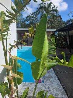 CasaRomanaAndAbuu - 5