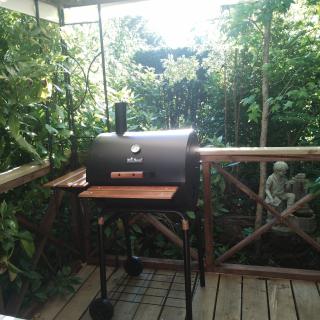 Cabaña Familiar Pétalos Villarrica - 5