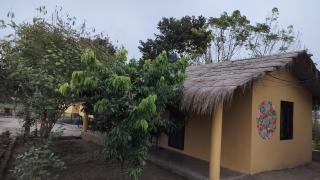 Hostel Jungle Beats - 6