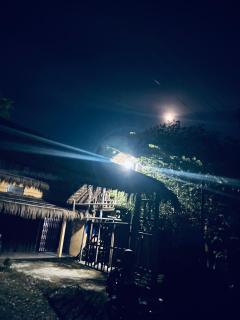 Hostel Jungle Beats - 1