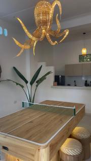 casa aria con mesa hockey, patio y ping pong - 8