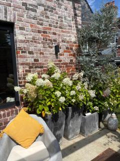 Chambre d'hôtes - 1