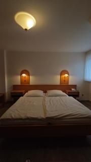 Gasthof Waldesruh - 3